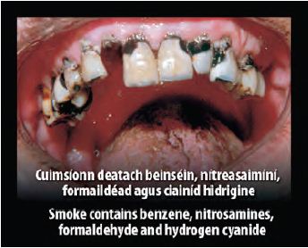Ireland 2013 Constituents - diseased organ, benzene, nitrosamines, formaldehyde and hydrogen cyanide